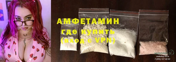 шишки Аркадак