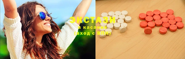 шишки Аркадак