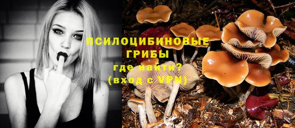 spice Арсеньев