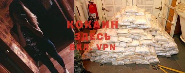 spice Арсеньев