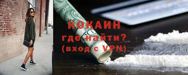 шишки Аркадак