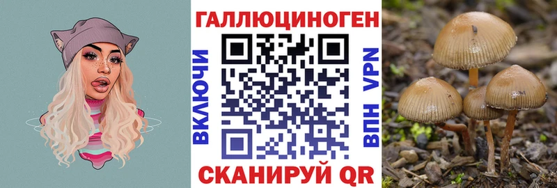 Псилоцибиновые грибы мицелий  купить наркоту  Сортавала 